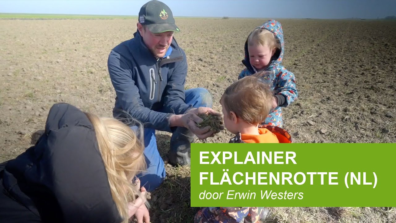 Flächenrotte & kruidenferment: de regeneratieve manier om groenbemesters om te zetten in bodemleven!