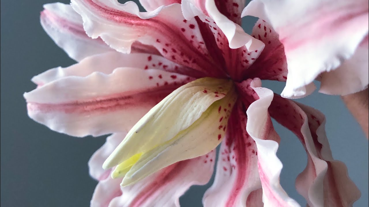 Gum paste Roselily Tutorials