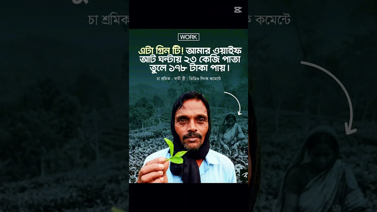 News #news53