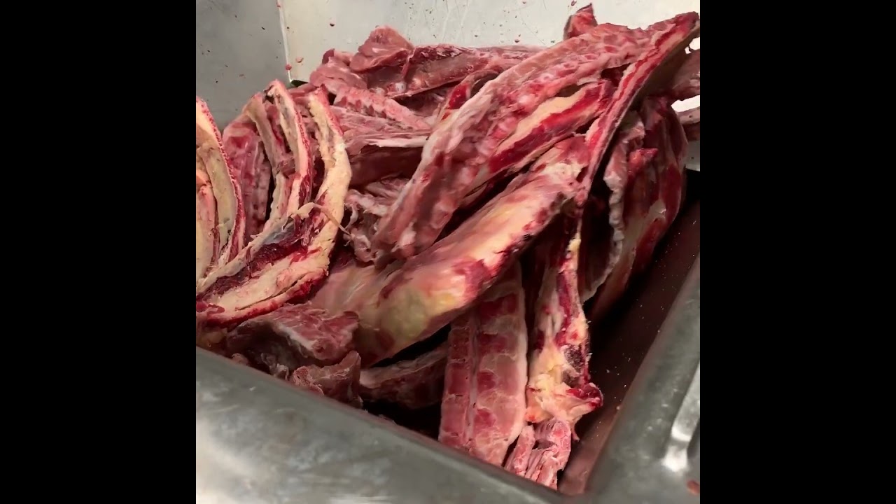 PSS SCG 280 STRONG - Grinding Bones #meat #processing #meatlovers #grinder #speed #equipment #bones