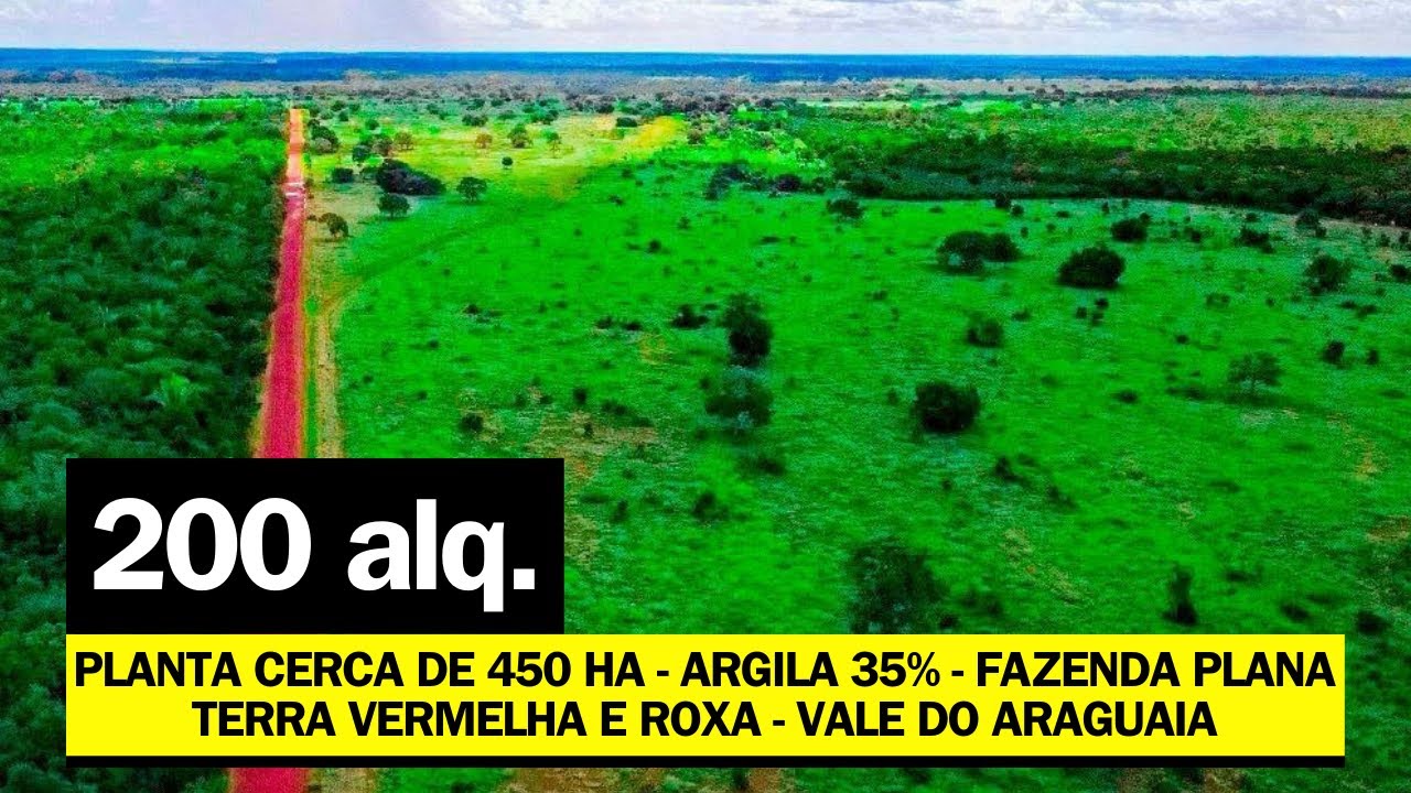 200 ALQUERÃO POR R$ 15 MILHÃO - VAI PLANTAR CERCA DE 450 HECTARES - ARGILA 35% - VALE DO ARAGUAIA