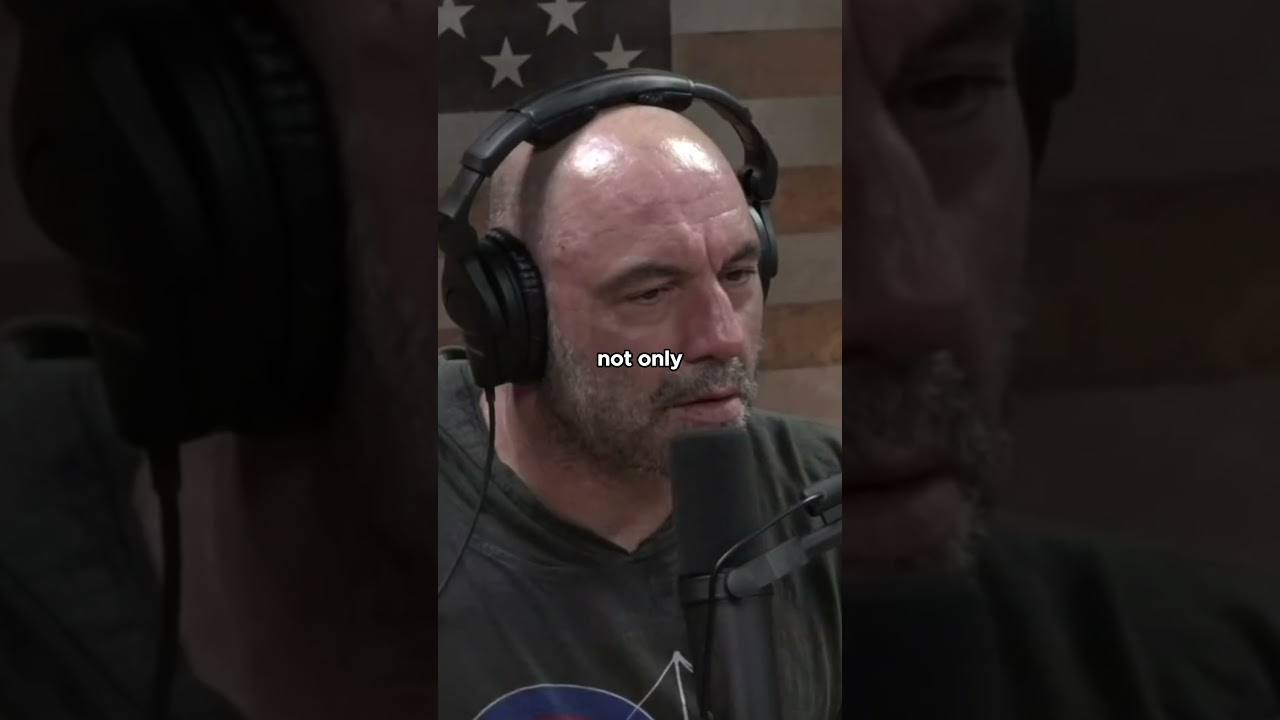 How Trees Communicate with each other | Joe Rogan #shorts