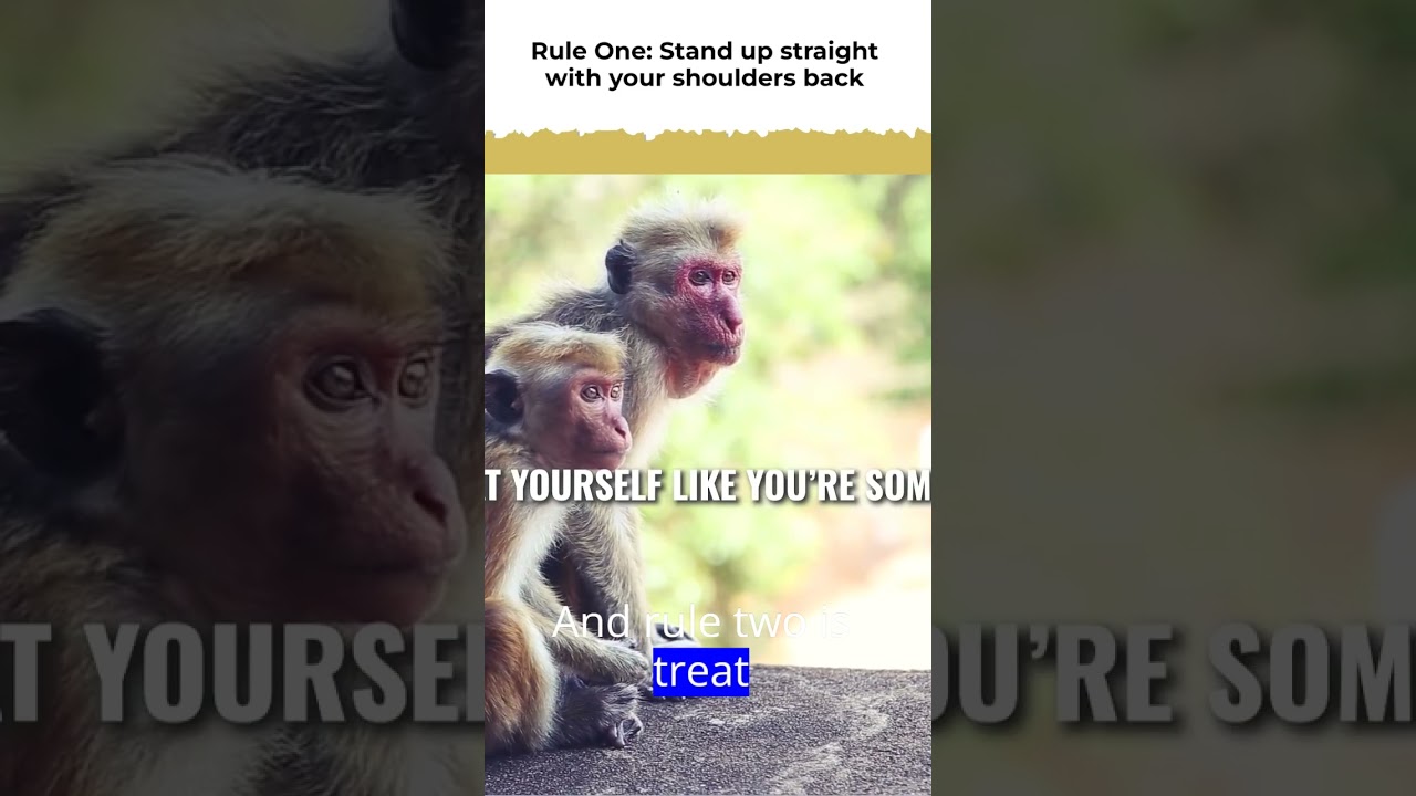 rule one  stand up straight with your shoulders back