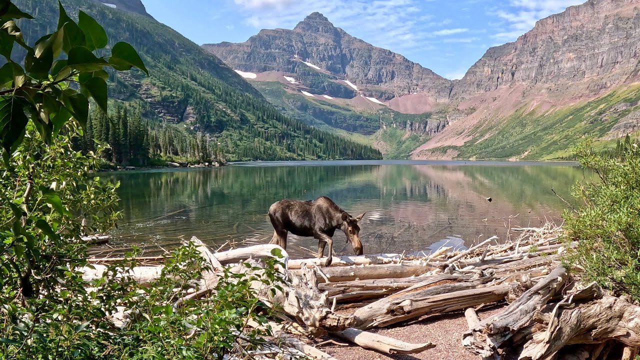 Upper Two Medicine Lake via the South Shore Trail in Glacier National Park 4K