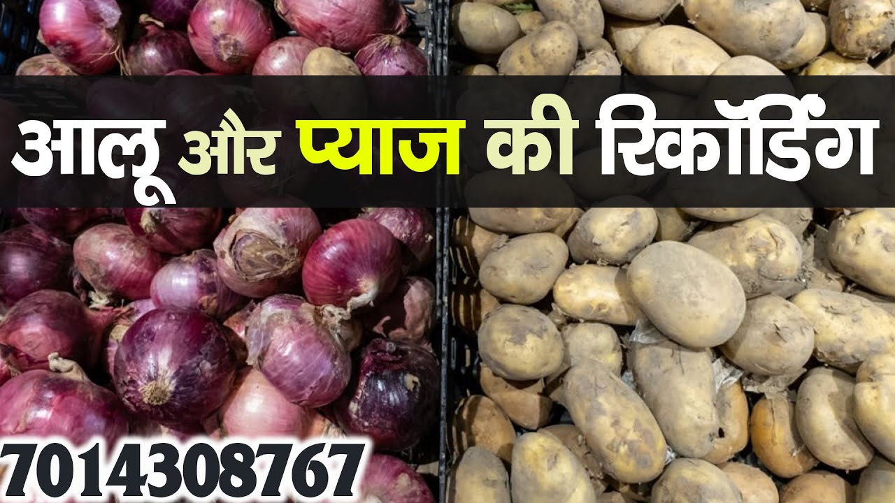 [ हिंदी ] प्याज और आलू की रिकॉर्डिंग I आलू की रिकॉर्डिंग I प्याज का Audio Prachar II 2023