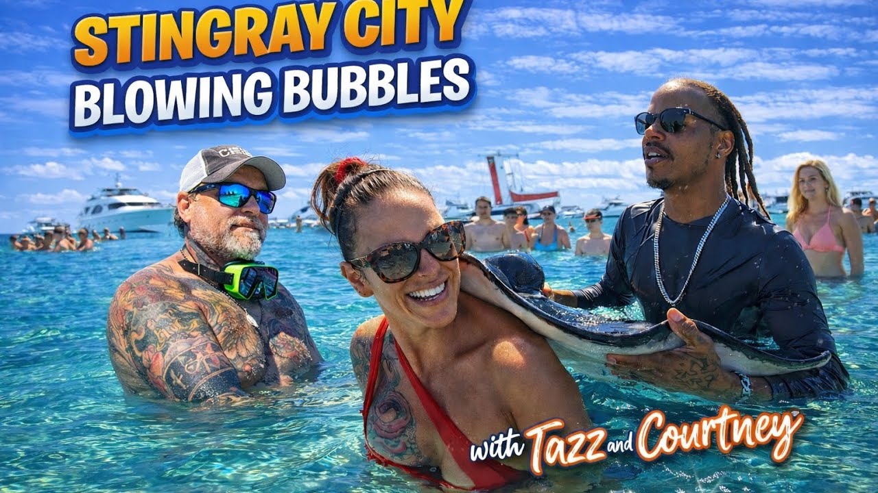 Caribbean Chaos & Stingray Magic!