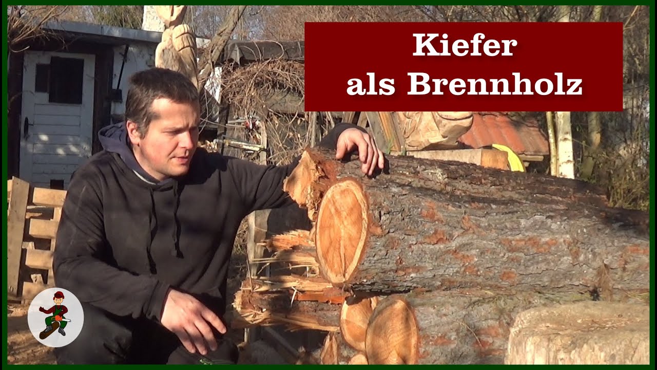 Kiefer als Brennholz
