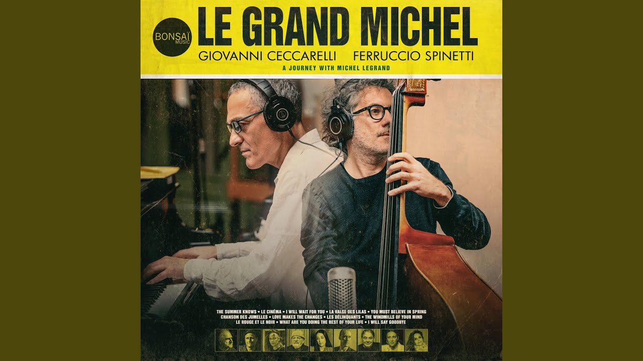 You Must Believe in Spring (Chanson de Maxence)