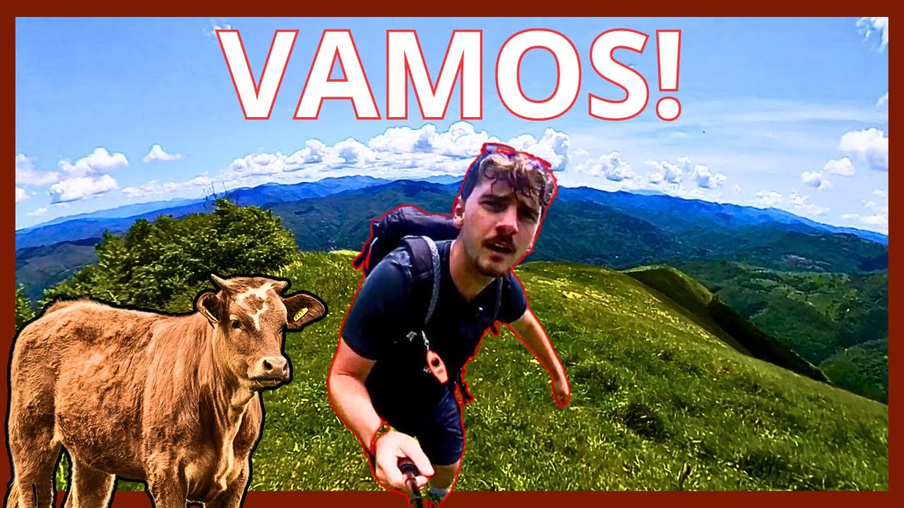 A SPASSO TRA LE MUCCHE - verso la cima del Monte ALFEO