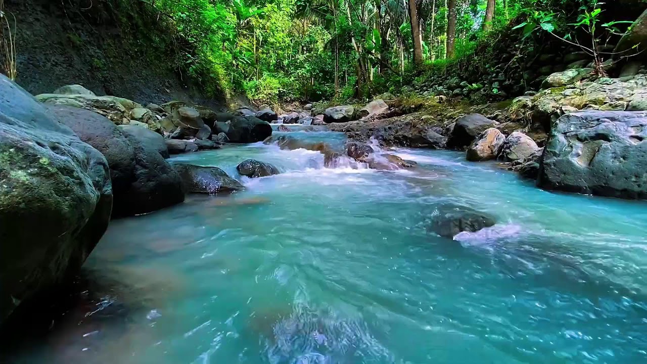 Natural Forest River Flow Sounds, Mountain Stream, Sleep