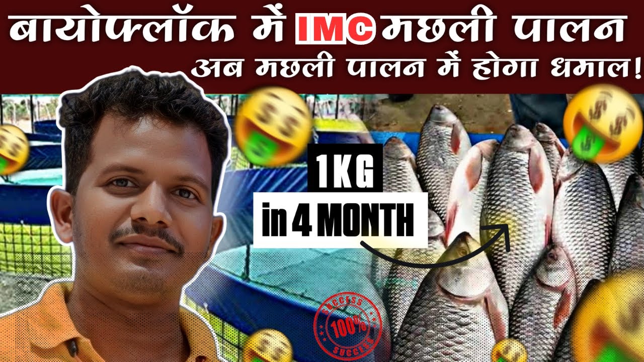 Biofloc technique से  कतला मछली सिर्फ 4 month में 1 kg  😱🔥|| Fish Farming Business in India #katla