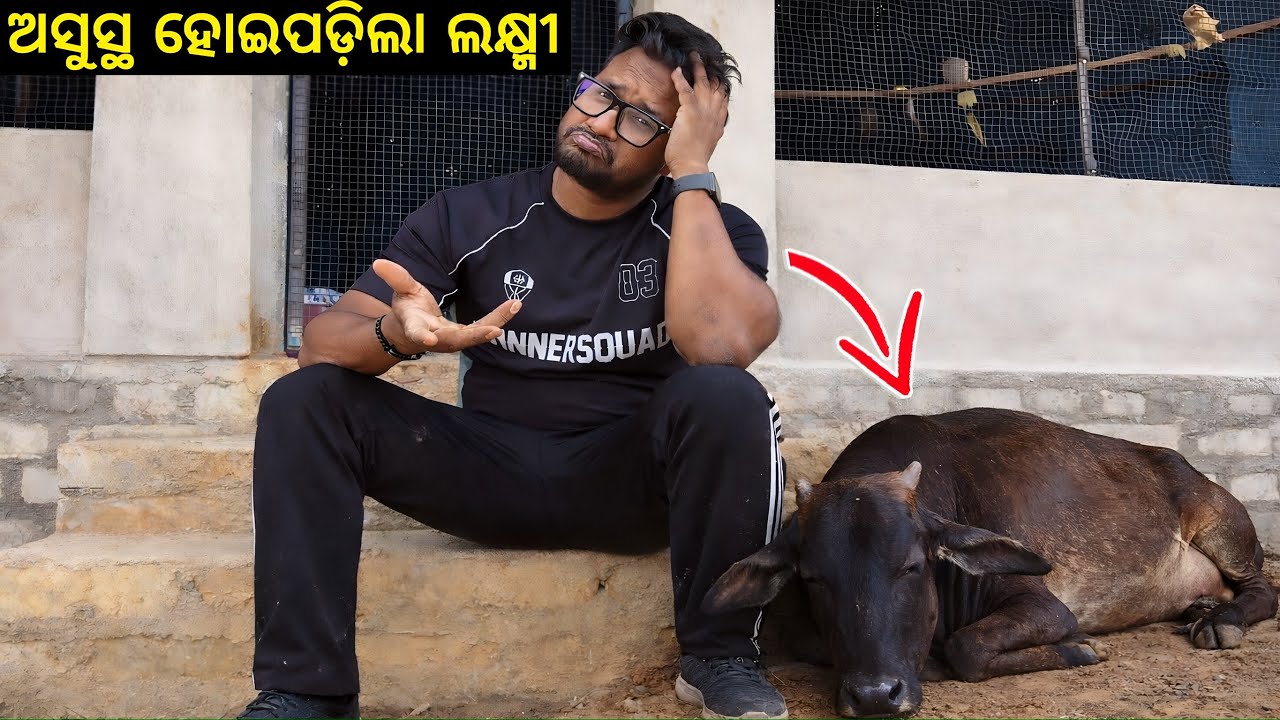ହଠାତ୍ ଅସୁସ୍ଥ ହୋଇପଡ଼ିଲା ଆମର ଲକ୍ଷ୍ମୀ… ଜାଣିନି କାହାର ନଜର ଲାଗିଗଲା। 😔