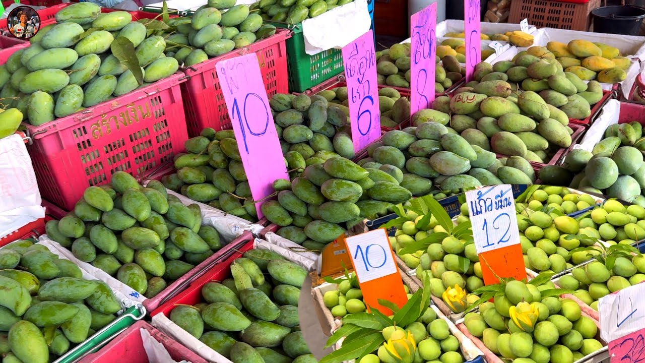 #ตลาดมะม่วง #มะม่วงเริ่มเยอะราคาก็็ถูก #ตลาดผลไม้ฤดูกาล  #ตลาดไท #คลองหลวง #ปทุมธานี#ลุงน้อยchannel