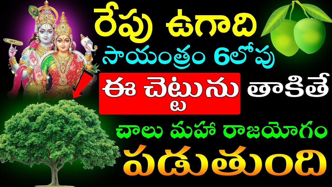 రేపు ఉగాది సాయంత్రం 6లోపు ఈ చెట్టును తాకితే చాలు మహా రాజయోగం పడుతుంది