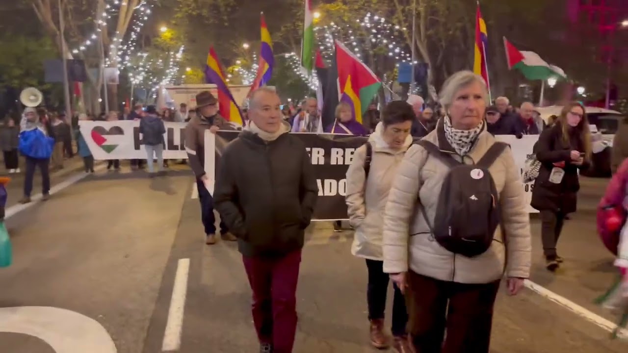 Madrid por la libertad del Pueblo Palestino (29-11-25)