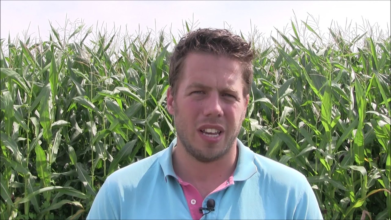 Wat te doen tijdens de droogte -  deel 2 Best boeren
