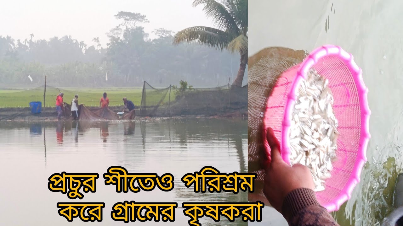 শখের বয়সের শখ পূরণ করুন আর সবাইকে উৎসাহ দিন কারণ শখের বয়সের শখ পূরণ না করলে আর কোন বয়সে করবেন