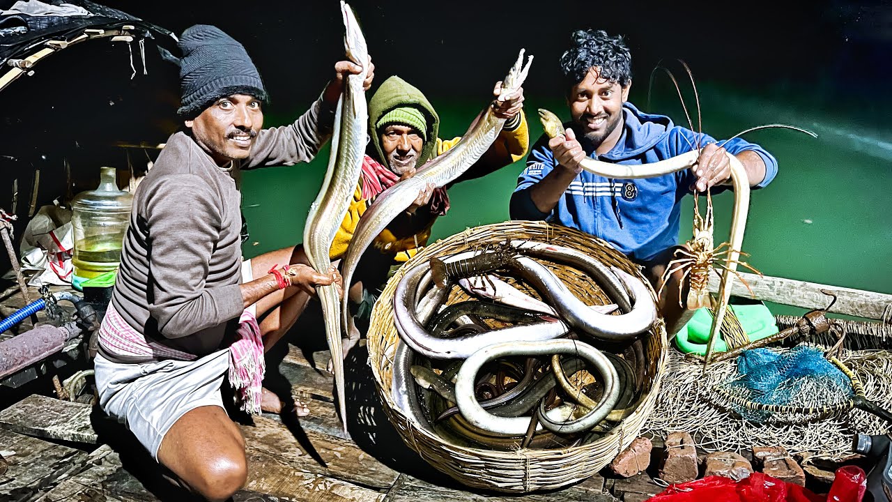আজ সোনা বগোর ঝাকে বরশি দিয়ে, প্রচুর শোনাবোগো  মাছ ধরলাম!!!🪱🪱🪱
