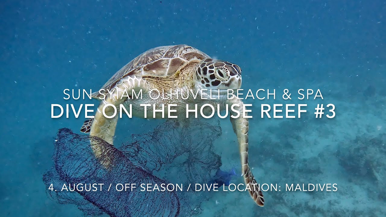 Maldives Reef Diving Part III  (Sun Siyam Olhuveli) HD