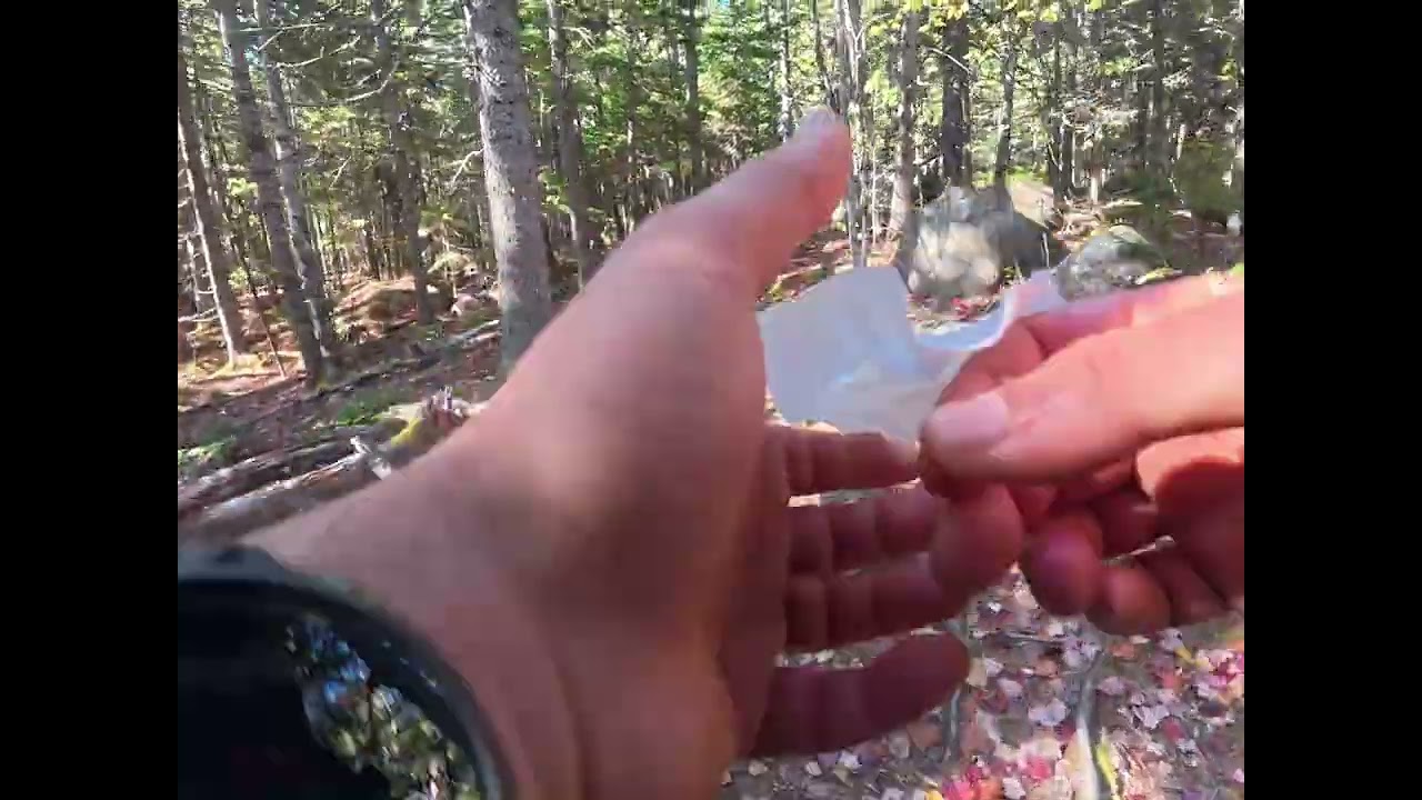 Cadillac Mountain Hike Back | Dog-Friendly North Ridge to South Ridge Trail in Acadia