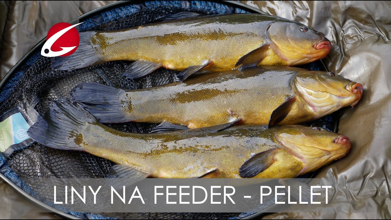 LINY na  Method Feeder | SPOMB - Pellet | DZIKIE STAWY