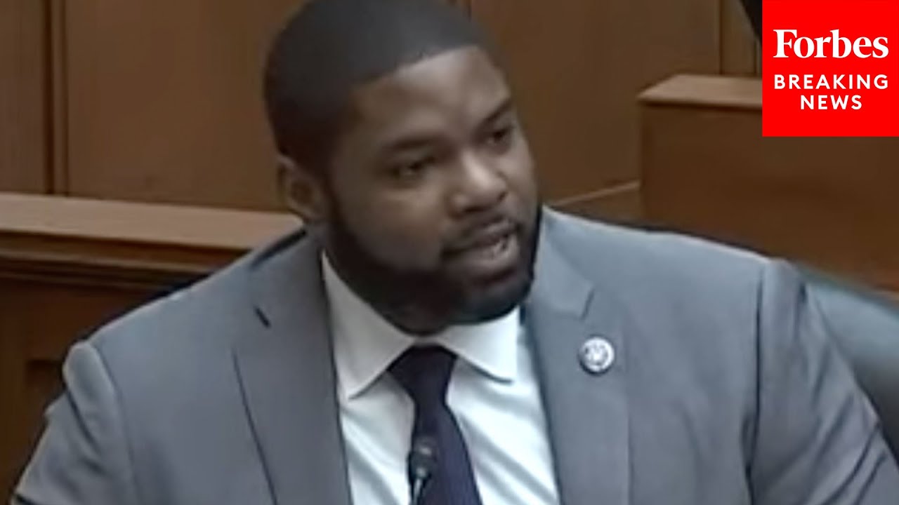 Byron Donalds Defends Stuart Scheller, Calls Out Dem Committee Leaders During Hearing