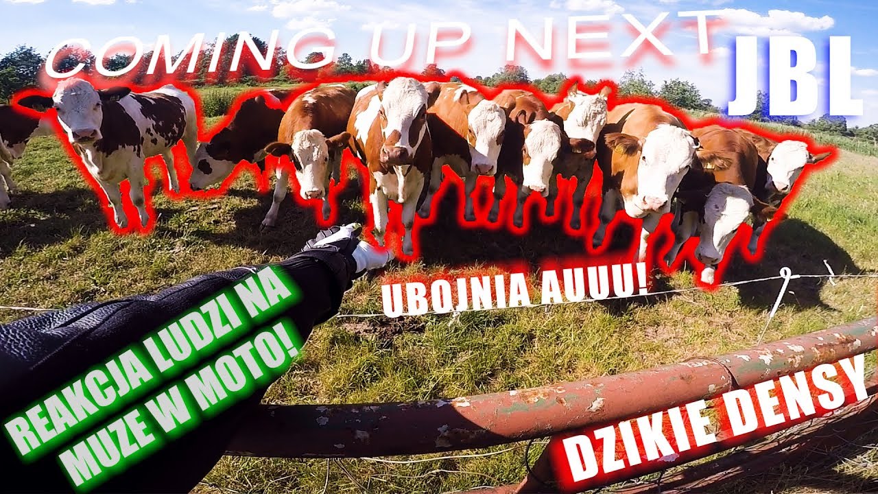 18+ | Reakcja ludzi na muzę w moto 0.o | Spotkanie i Impreza z fankami :V | JBL Charge 3
