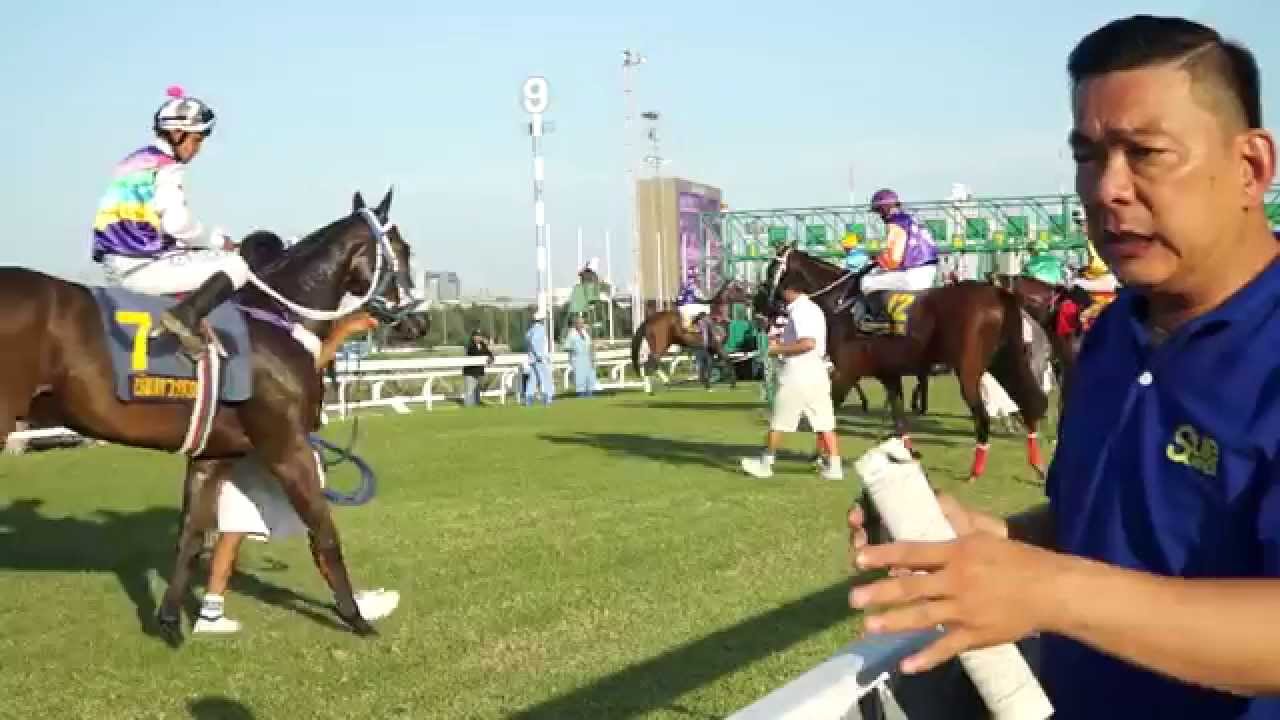 ม้าแข่งชิงถ้วยสภานายก ปีที่ 9 ระยะ 1,840 เมตร