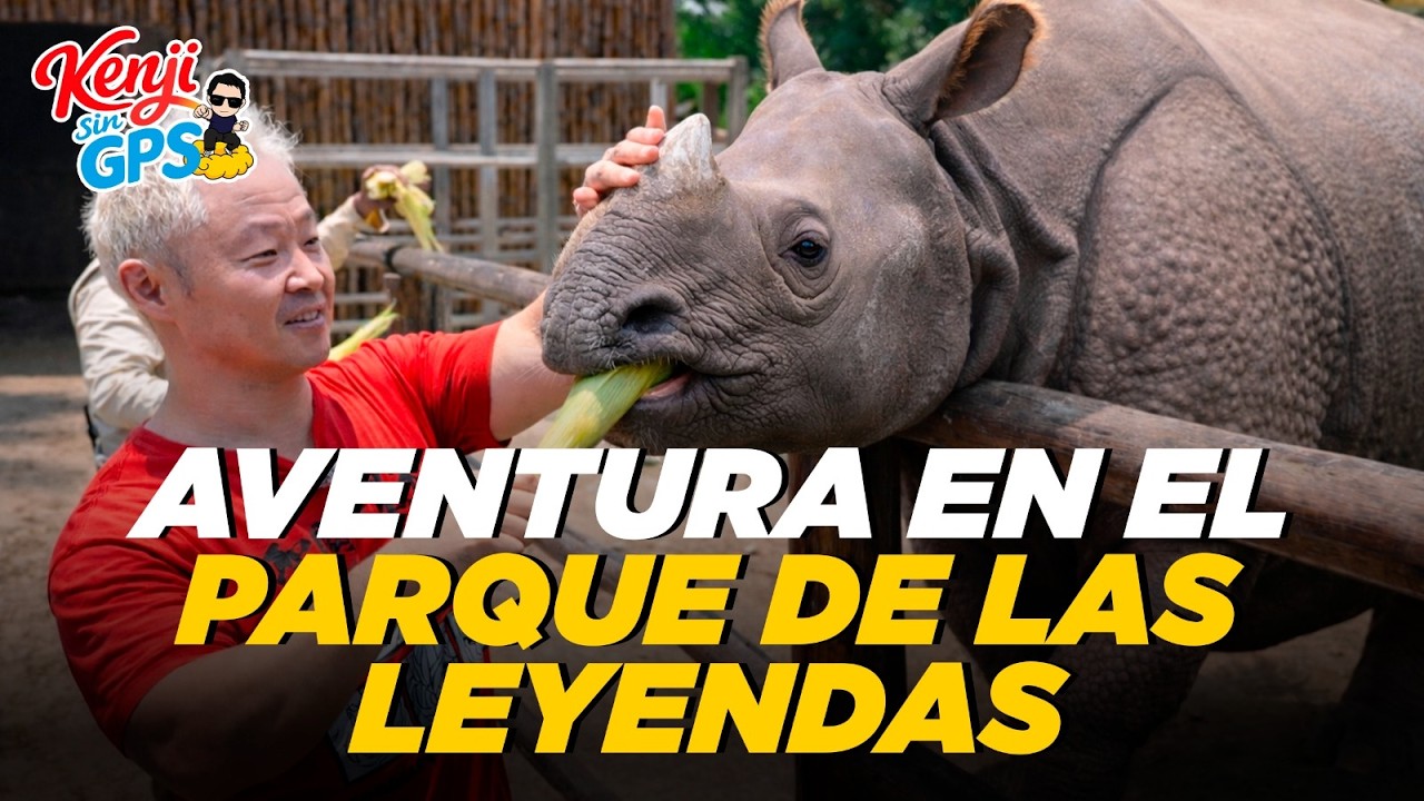 PARQUE DE LAS LEYENDAS: ALIMENTÉ A UN RINOCERONTE!