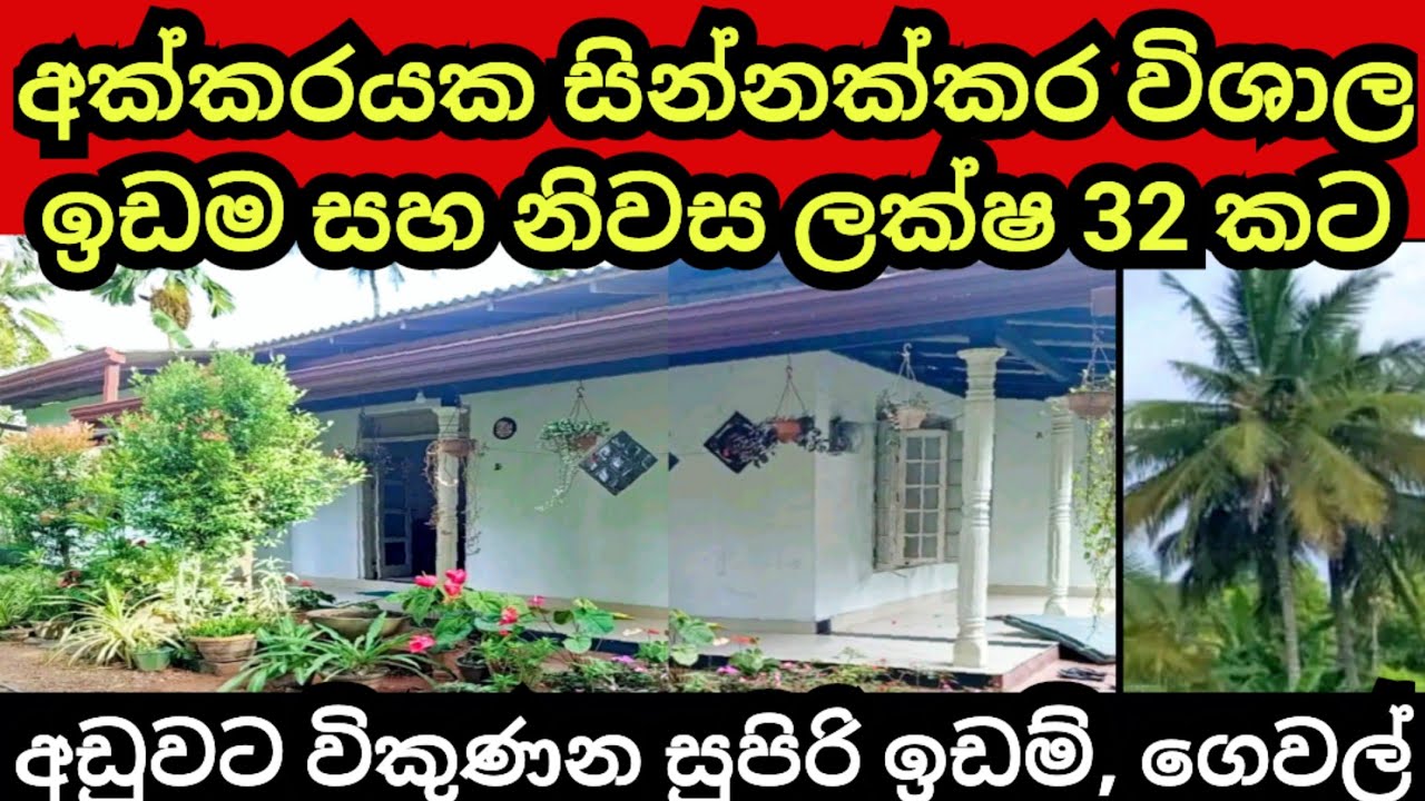 පර්චස් 160 ක සින්නක්කර ඉඩම හා නිවස රු ලක්ෂ 32 කට | Land for sale | Aduwata idam | House for sale