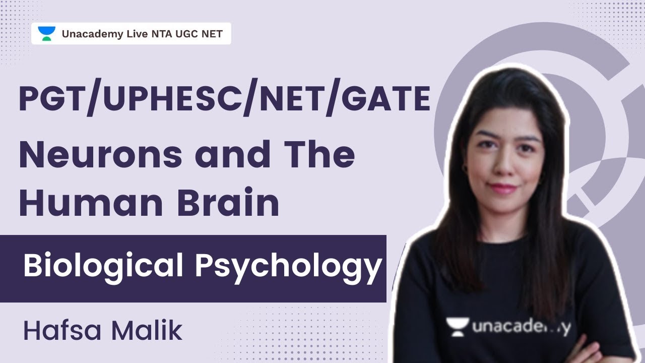 Neurons and The Human Brain Biological Psychology for PGT/UPHESC/NET/GATE Psychology | Hafsa Malik