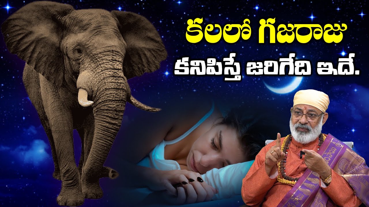కలలో గజరాజు కనిపిస్తే జరిగేది ఇదే | Elephant In Dream Meaning In Telugu | Kalalo enugu Kanipisthe
