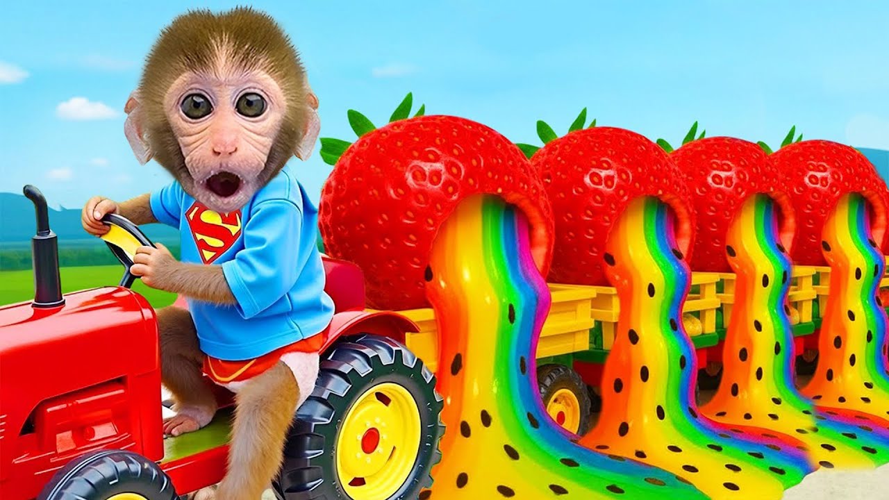 O macaco Bon Bon vem à fazenda para colher morangos e brinca no parque com o patinho