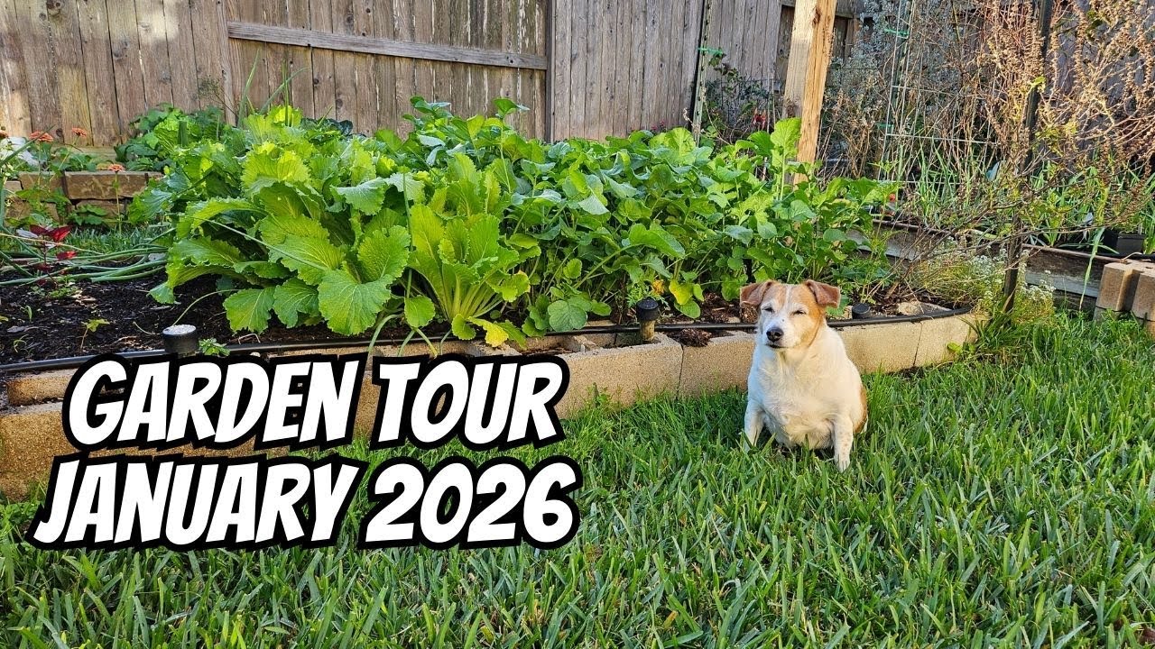 Сад никогда не спит 🌿 Тур в январе 2026 года