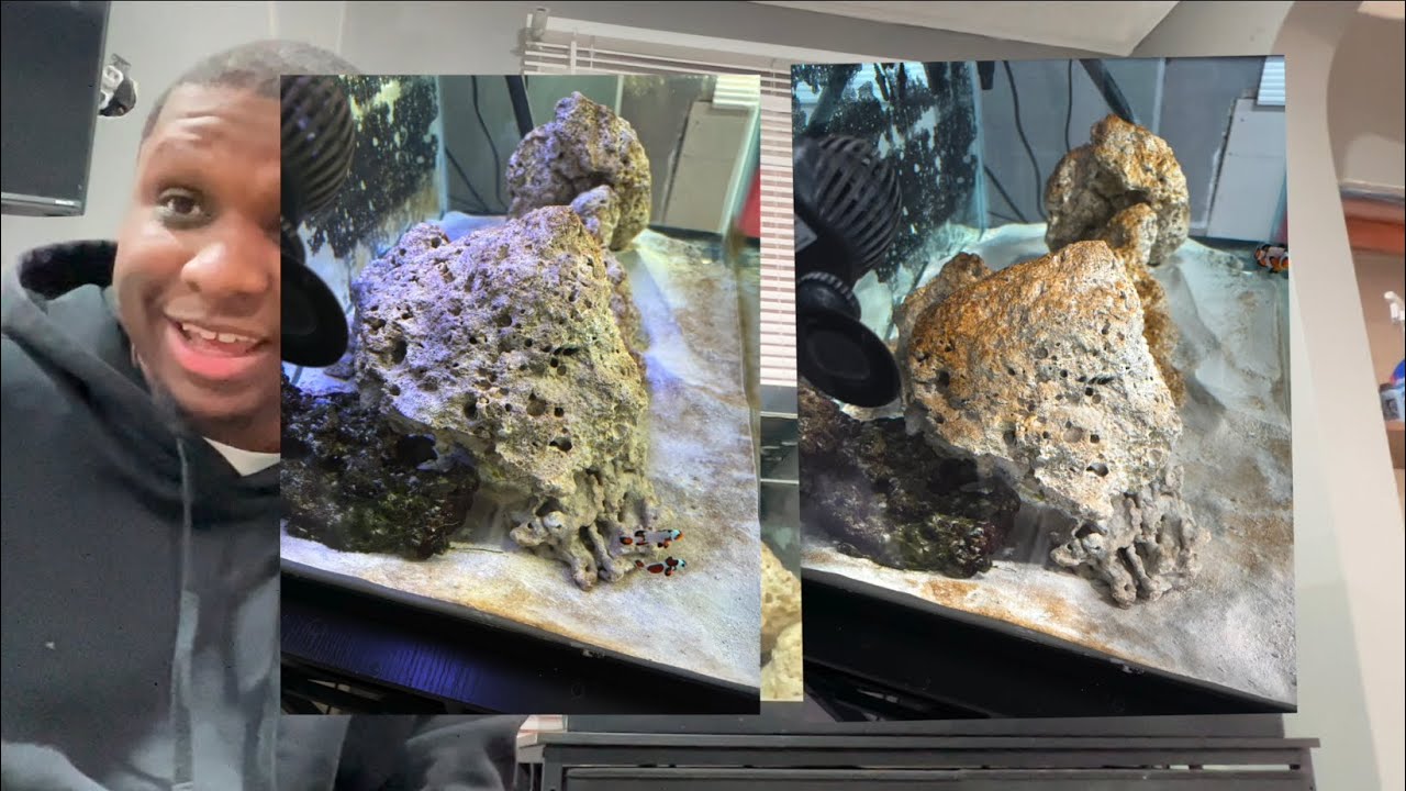 HOW I AM GETTING RID OF DIATOMS IN MY SALTWATER REEF TANK!