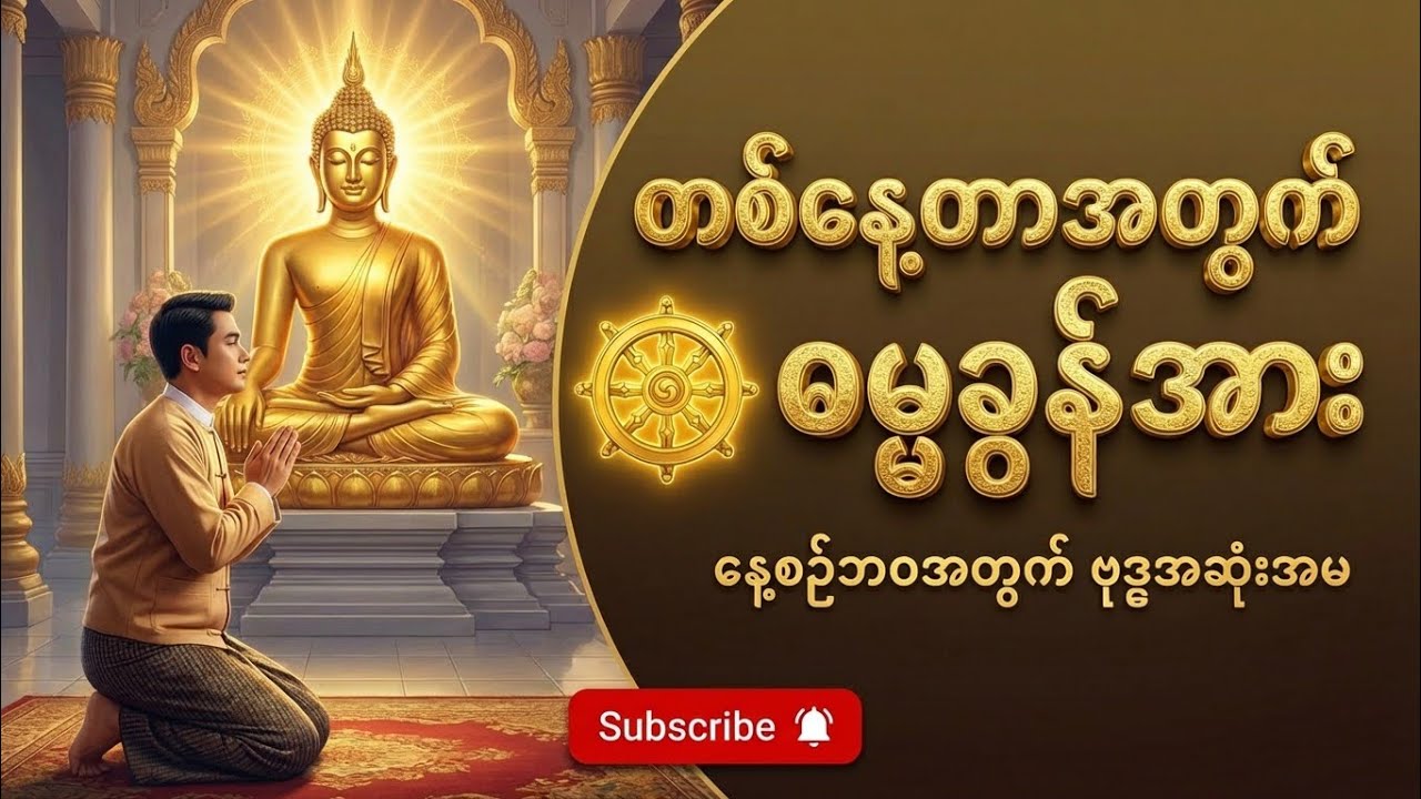 ပိုင်ရှင်မဲ့ ဖြစ်တည်မှု- ပါချုပ်ဆရာတော်ဘုရား