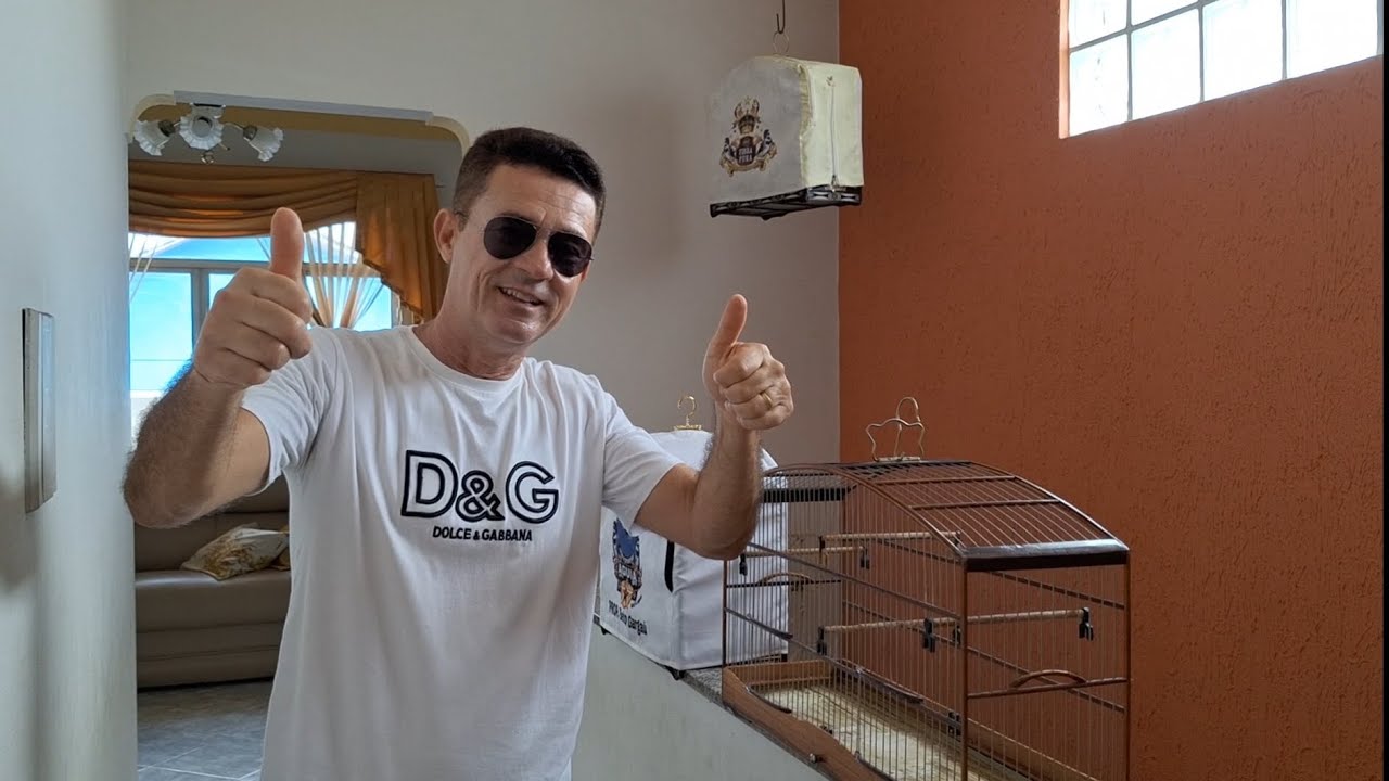 Como fazer o seu coleiro travar na fêmea