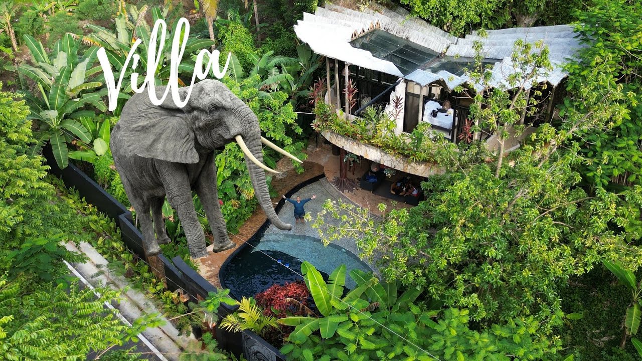 Villa Escondida en el Valle Samana VIilla Elefante