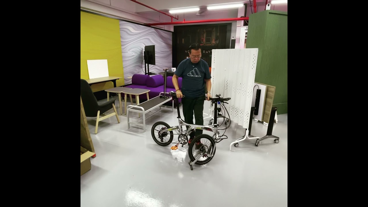 Birdy Rohloff Unfolding