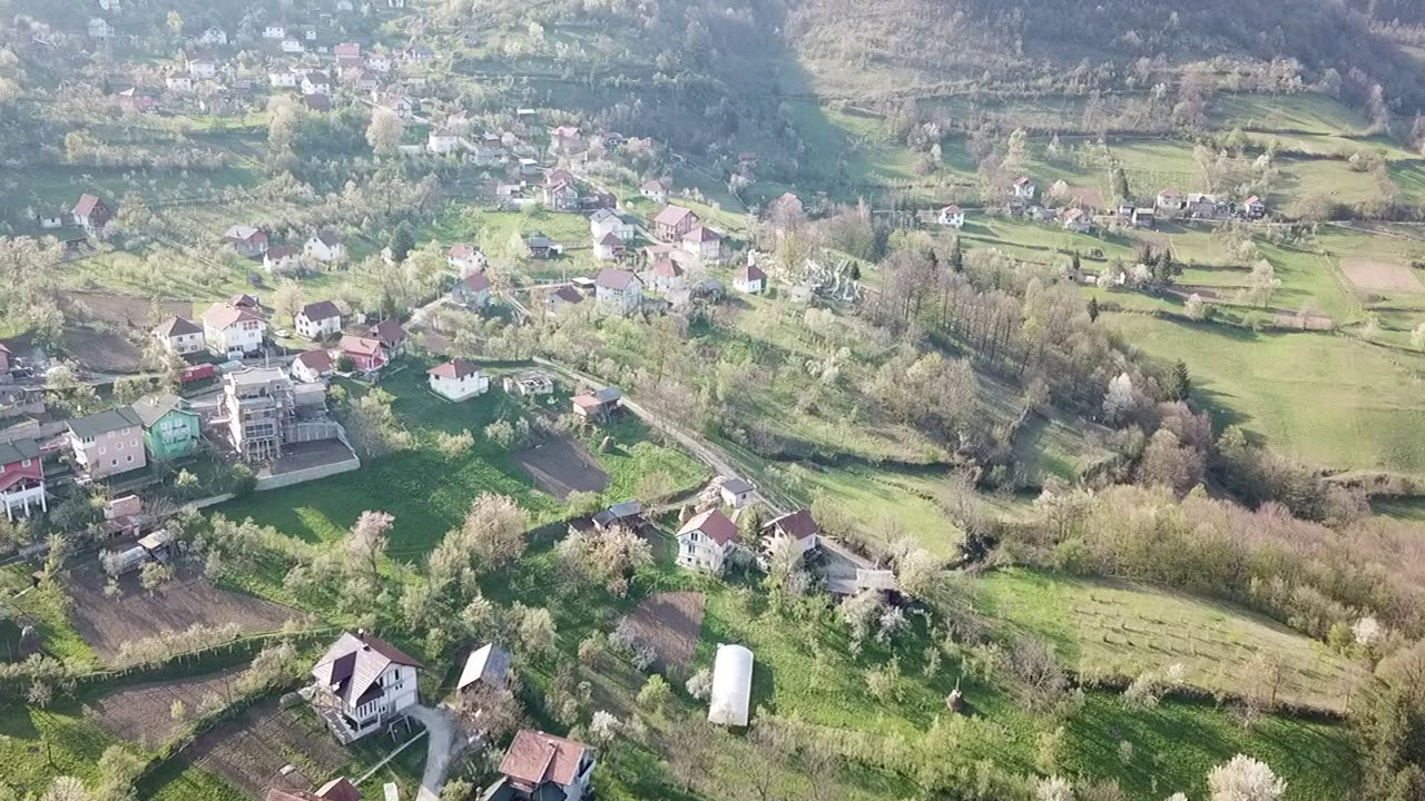 Tarevo bosna