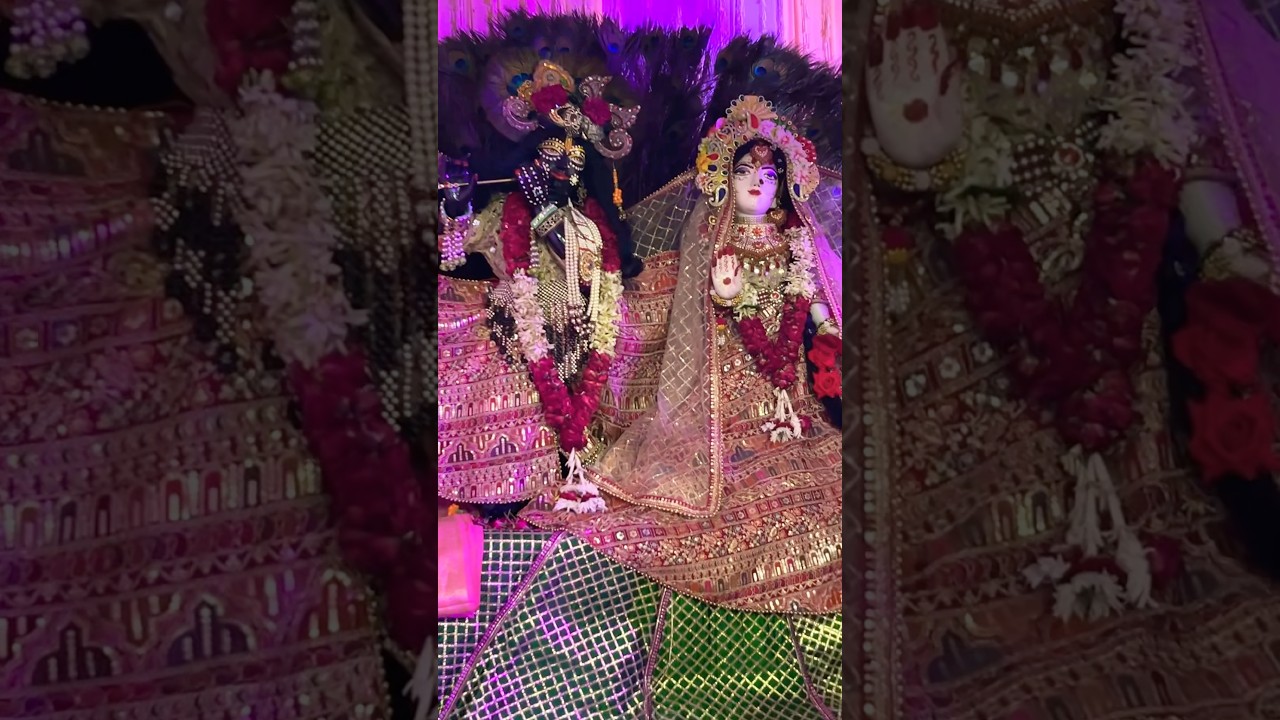 Radha Ashtami🌹✨🦚✨ ￼ Barsanai ki chhori #shortvideo #love #devotionalbhajan #radhaashtami
