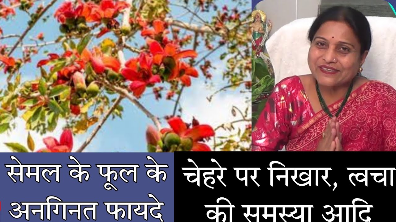 semal ka phool | semal ke fool ke fayde | benefits of semal flower | ayurveda care