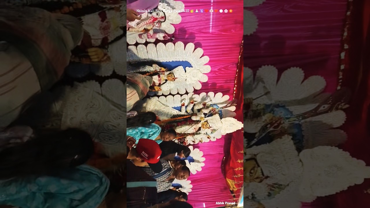Shimla Kali Bari Durga Puja 2K25 🥳🙏🏻🛐 Maaa &hearts;️🫶🏻❤️ Jai Maa Durga 💮🌸 #durgapuja2025 #duggadugga