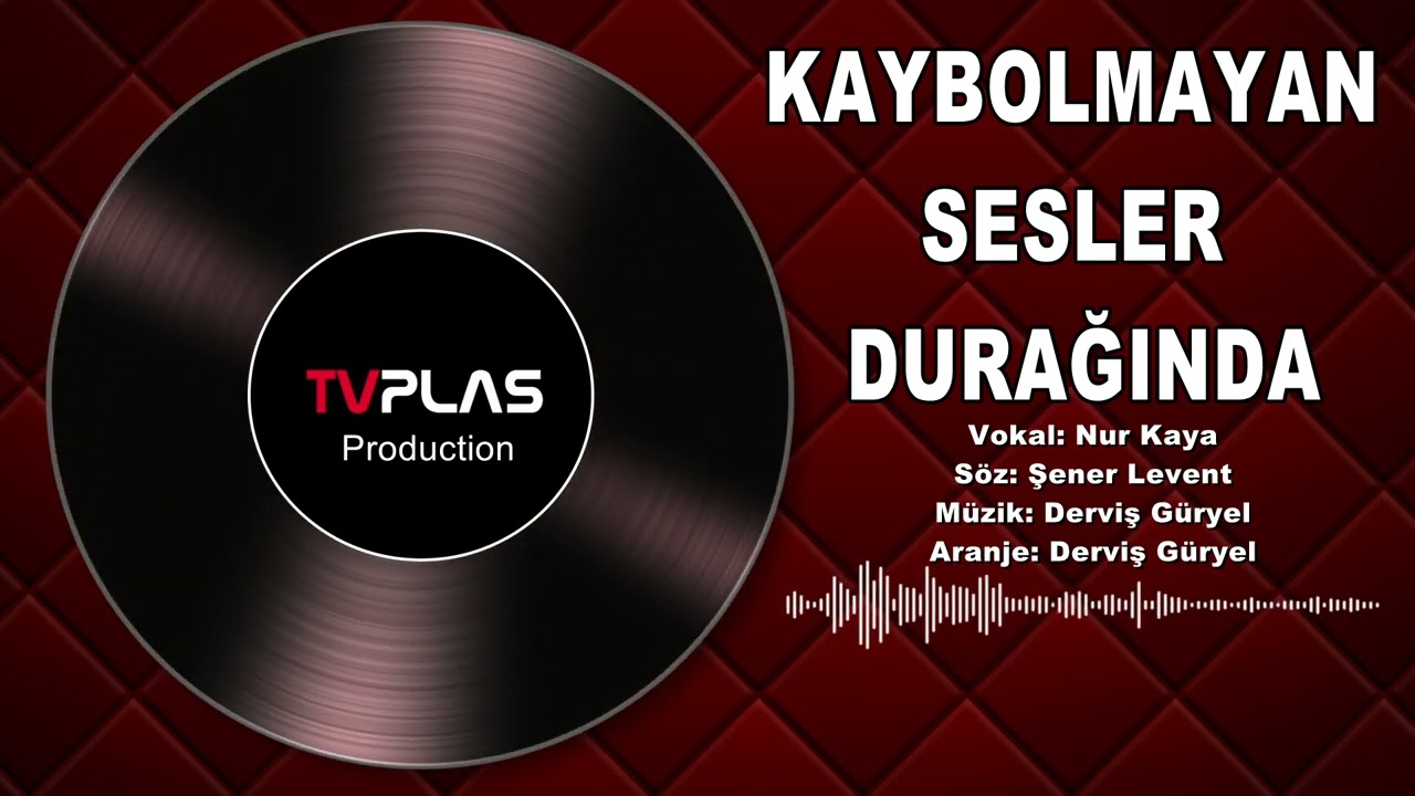Kaybolmayan Sesler Durağında - Nur Kaya