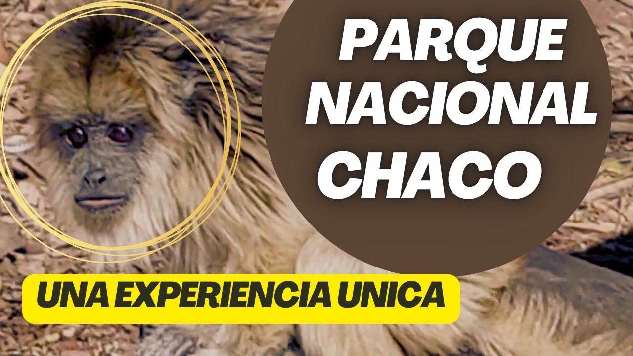 🌳 ASI ES el PARQUE NACIONAL CHACO🌿 RUTA Y SENDEROS