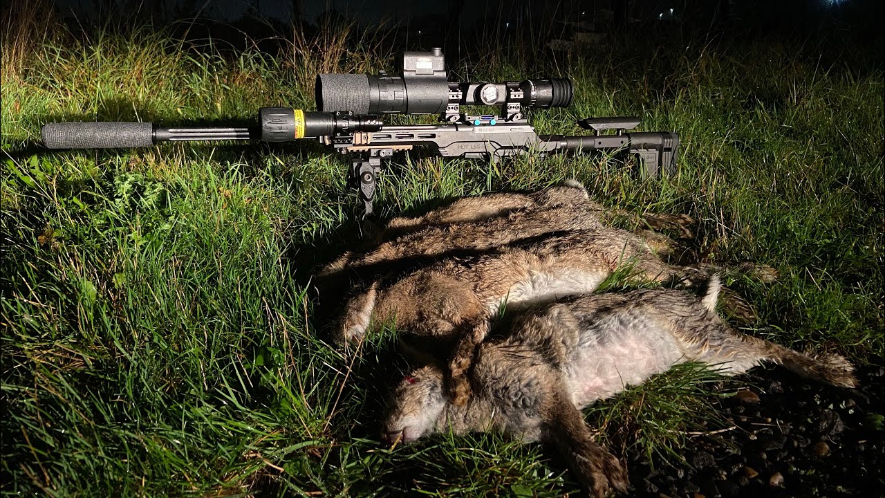 Farm Yard Rabbit Pest Control - 22LR