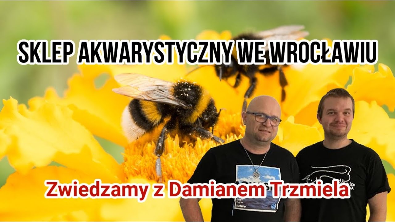 Co Warto Zobaczyć we Wrocławiu jako Akwarysta | Trzmiel