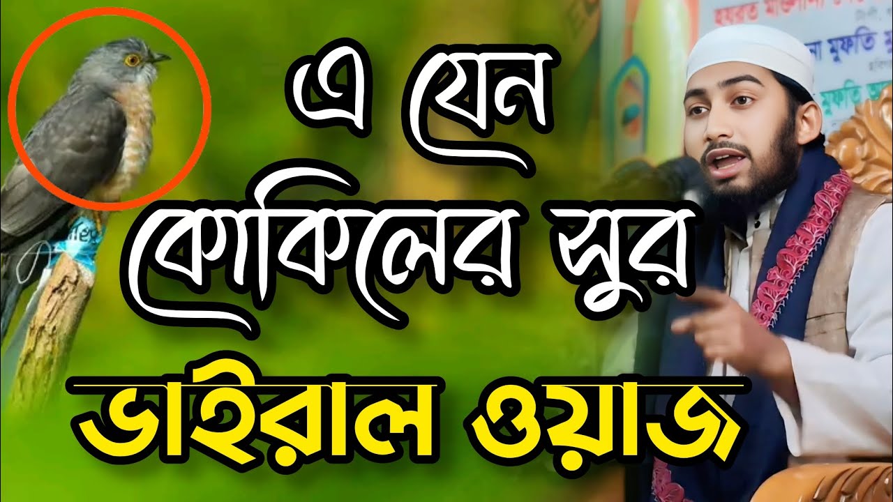এ যেন কোকিলের সুর। ভাইরাল ওয়াজ। মুফতী মুজাহিদুল ইসলাম হবিগঞ্জ mufti mujahidul islam Habiganj 