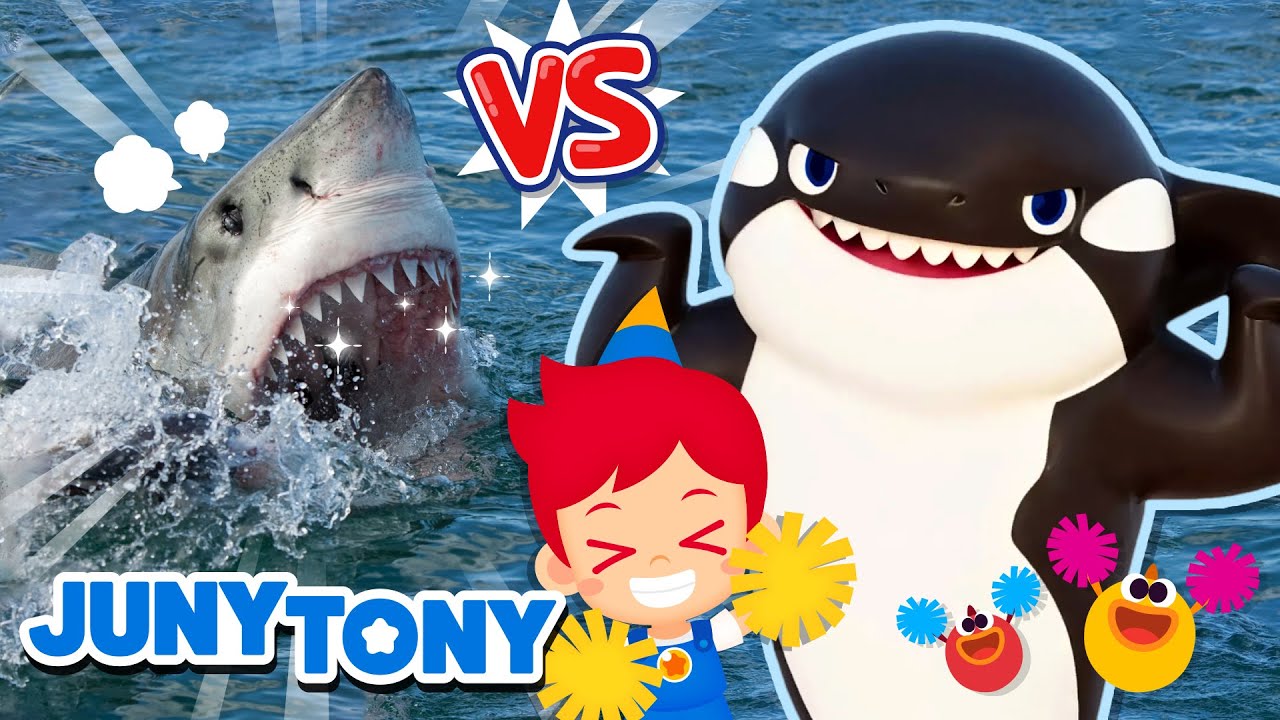 Revanche! Tubarão vs Orca | Curiosidades Sobre Animais | Música Infantil | JunyTony em Português