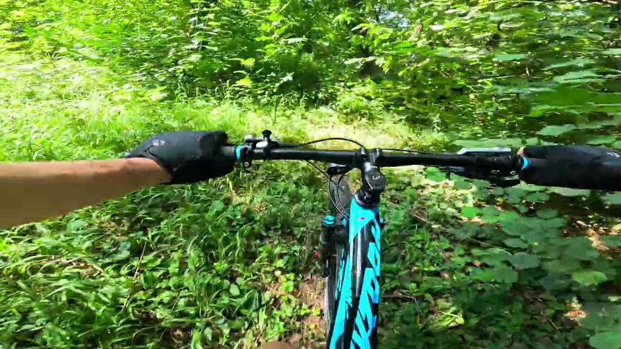 MTB por el bosque HOIA BACIU 